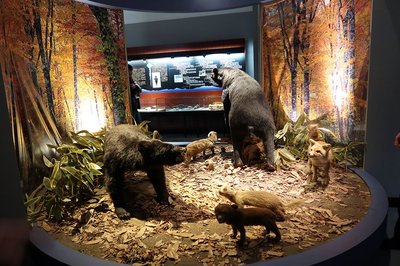 🏛️ 마타기 자료관(마타기 시료칸) 이미지 2